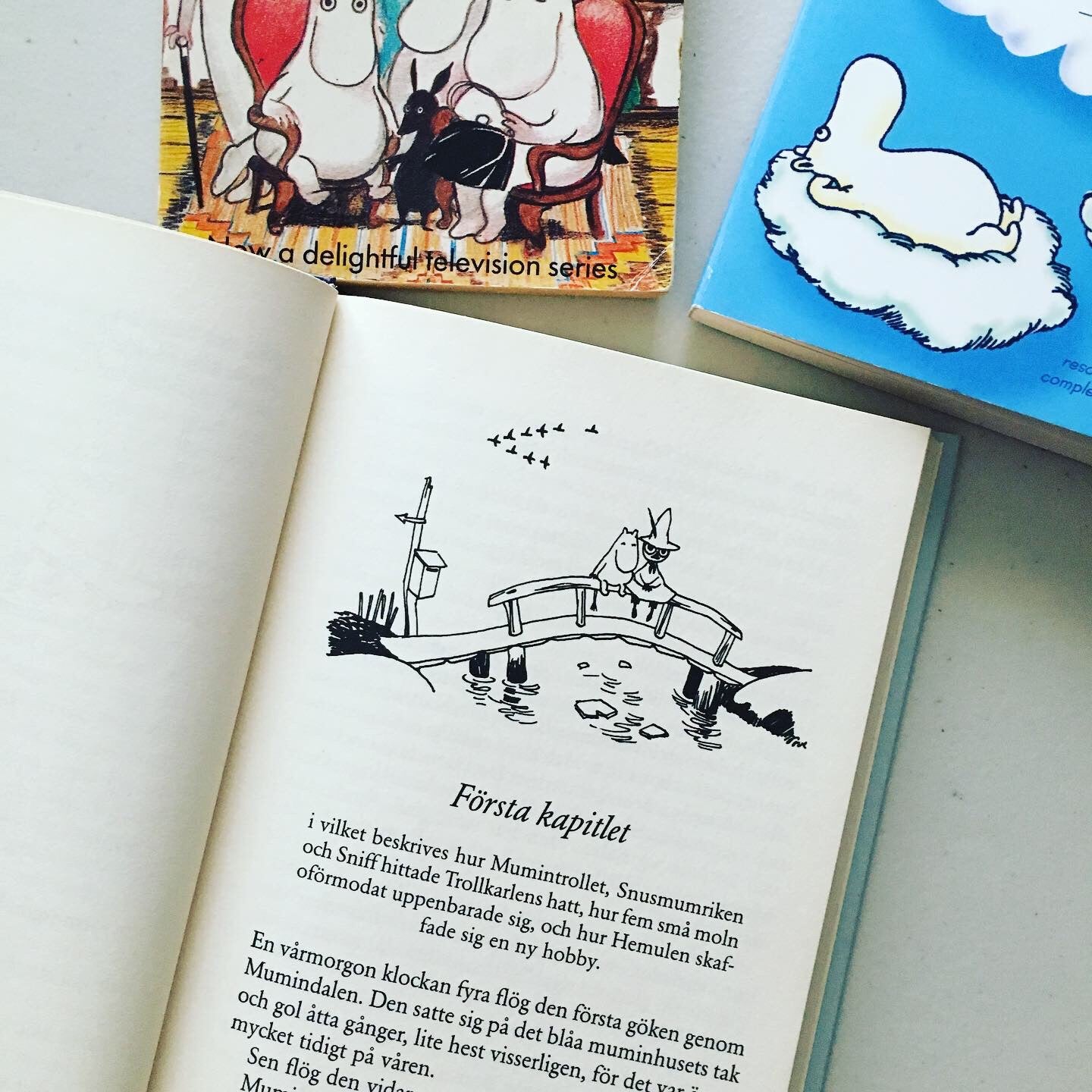 スウェーデン語のムーミンの本がとってもきれい。 | 横浜の英会話