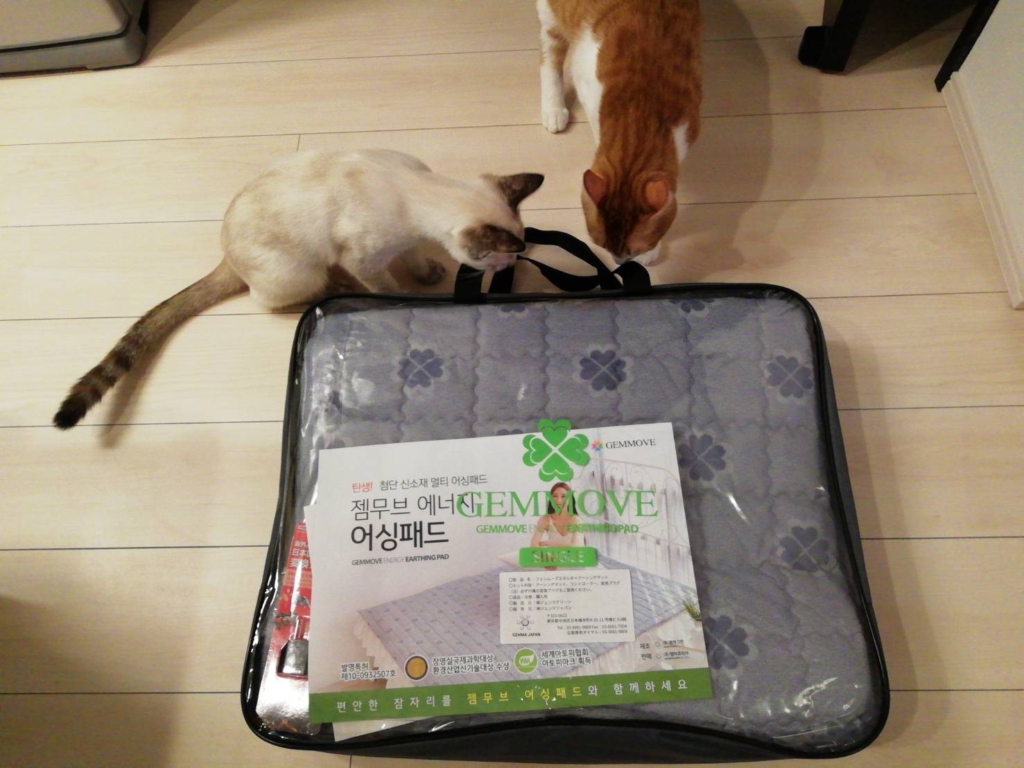 アーシングマットが届きました°˖✧◝(⁰▿⁰)◜✧˖° | 店長 シッター三浦