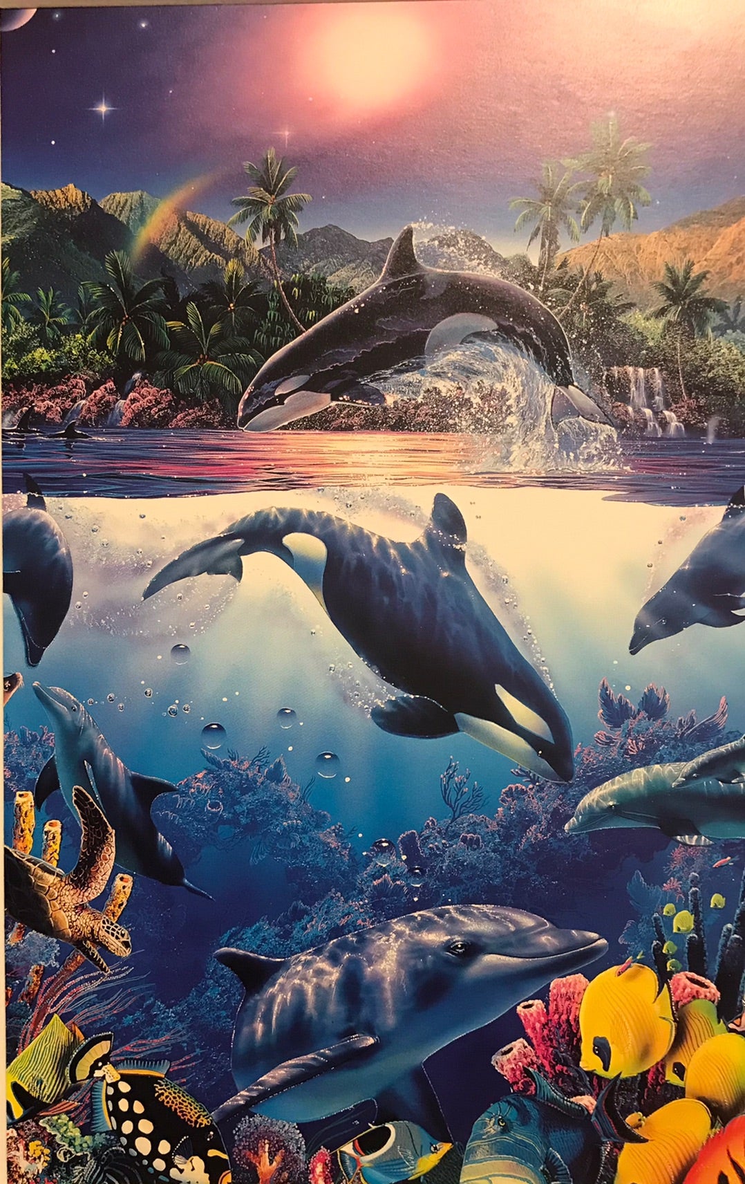 ☆J9☆クリスチャン・リース・ラッセン「オルカ レガシー」ポスター