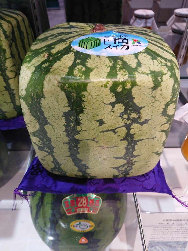 四角いすいか | サン・フルーツ 東京ミッドタウン店のブログ