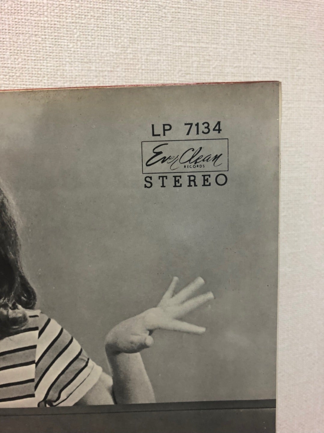 東芝の赤盤 | 猫のブログ