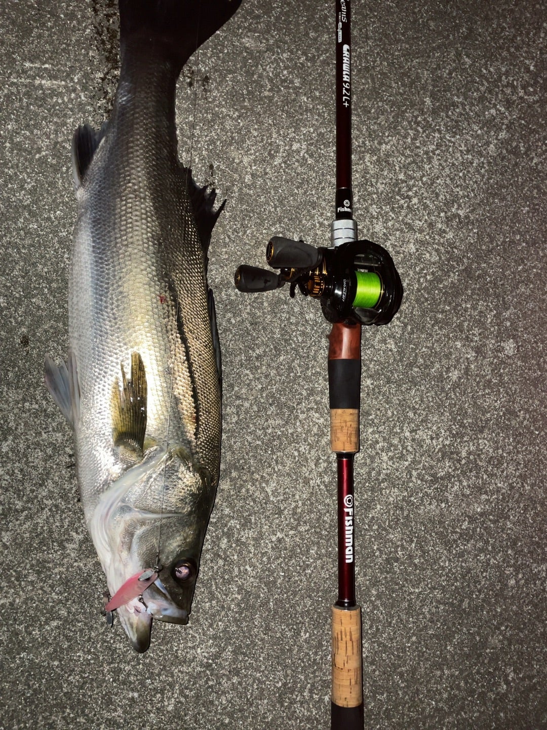 クローラ9.2L+のスペック | 茨城 週末 Anglerの釣り日記