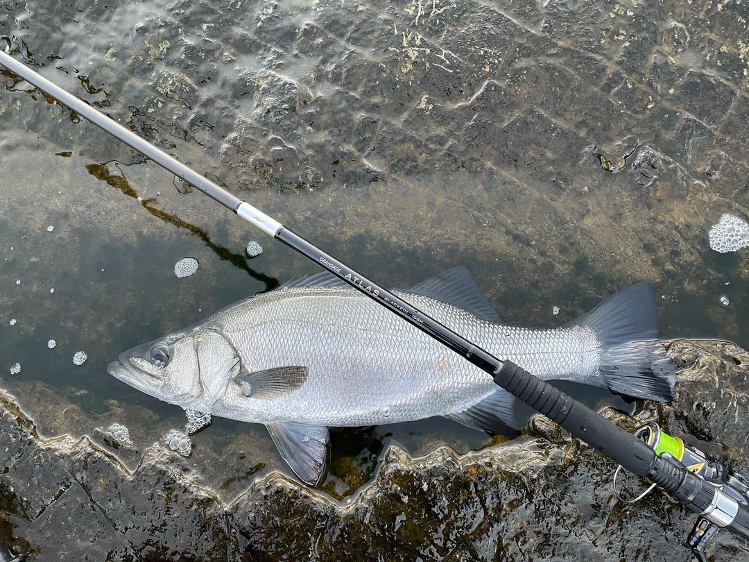 グランデージアトラス ブラックフィン109H | そこにロマンがあるから