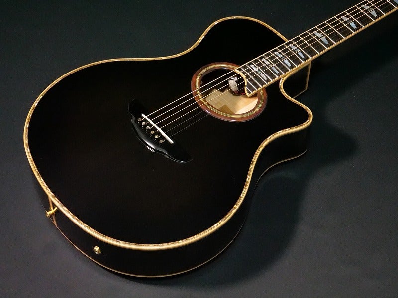 長渕ファン必見！～新着！憧れの最上級モデルギター『YAMAHA APX-50S