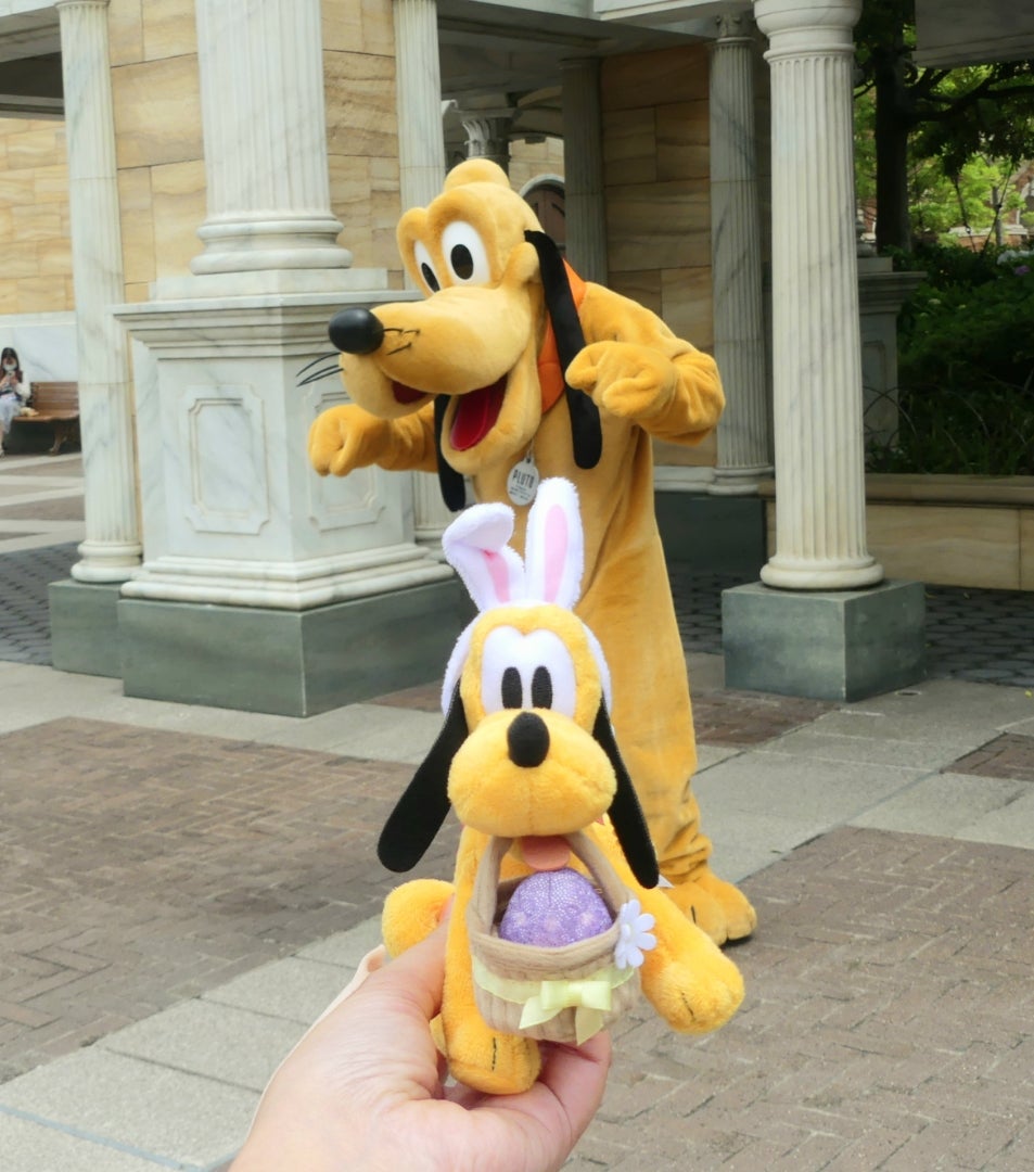 イースターのぬいば、プルートにお披露目できました | カメリアさんの