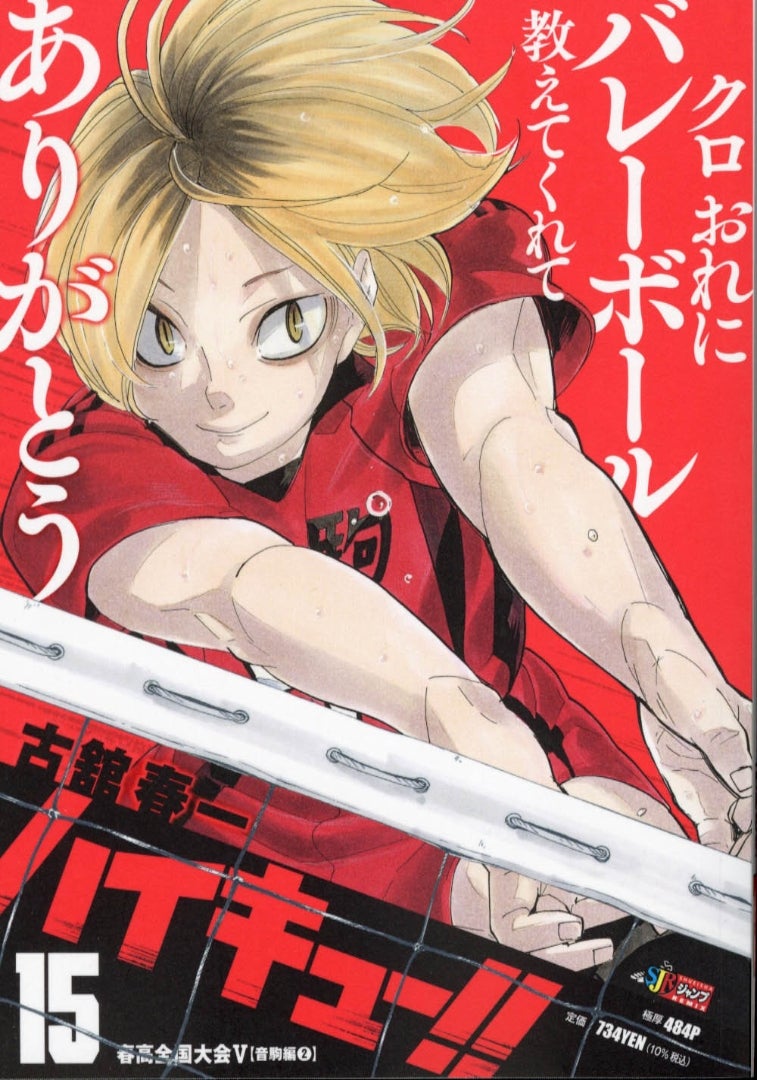 ハイキュー!!」リミックス（廉価版）15 | 病院徒然草