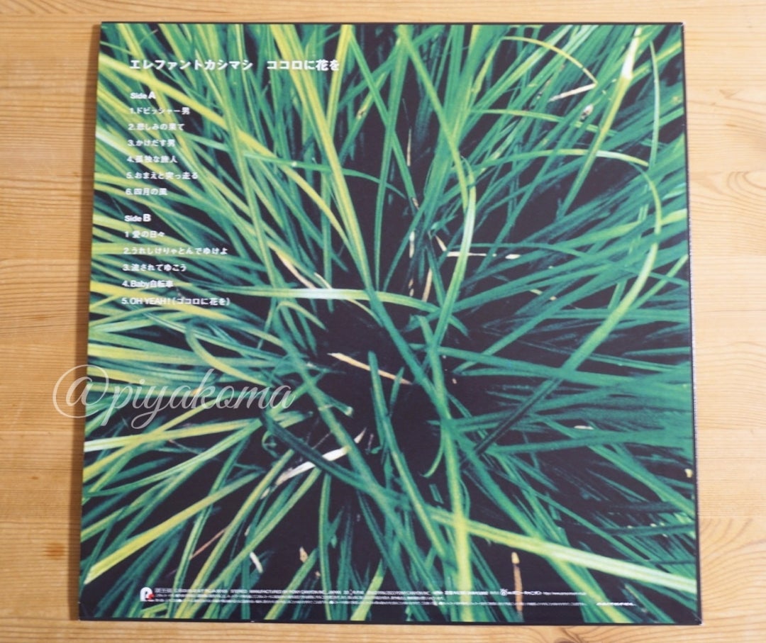 エレカシ アナログ『ココロに花を』(2022年11月3日発売