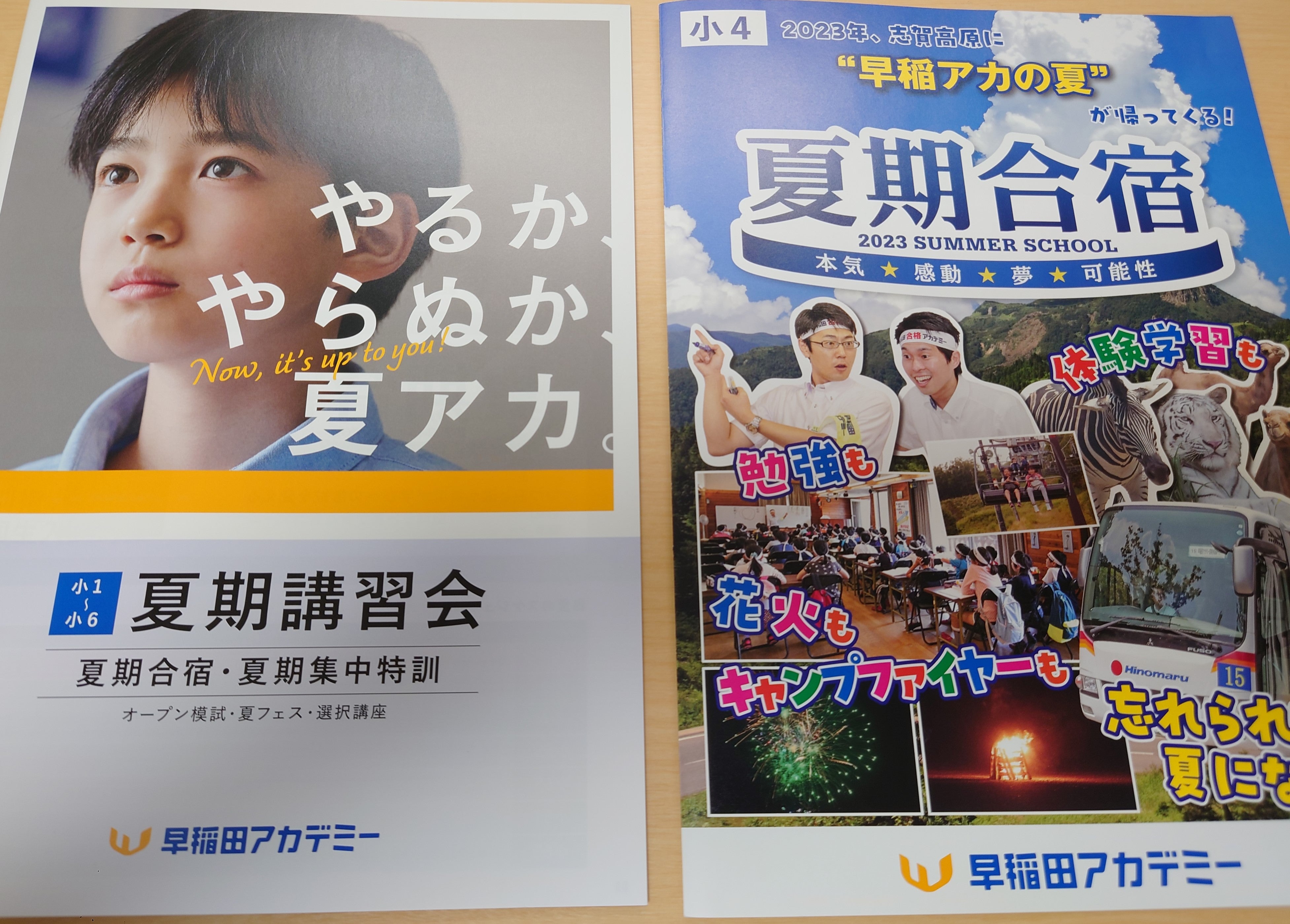 早稲アカ 小4 夏期講習と夏期合宿を考え始める | 2026中学受験って