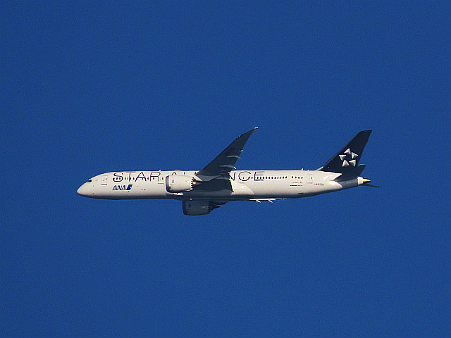 ANAスターアライアンス特別塗装機 2023.02.16 | みえたもの