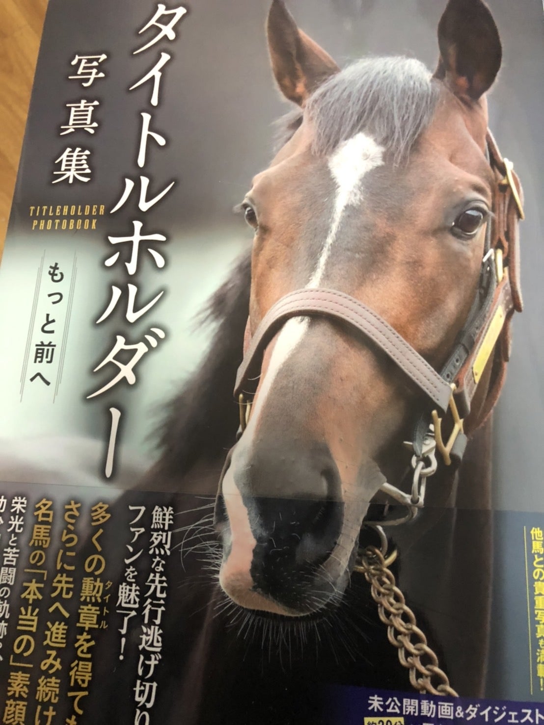 二億円の弐本鎗 | ドゥラメンテと名実況に恋して