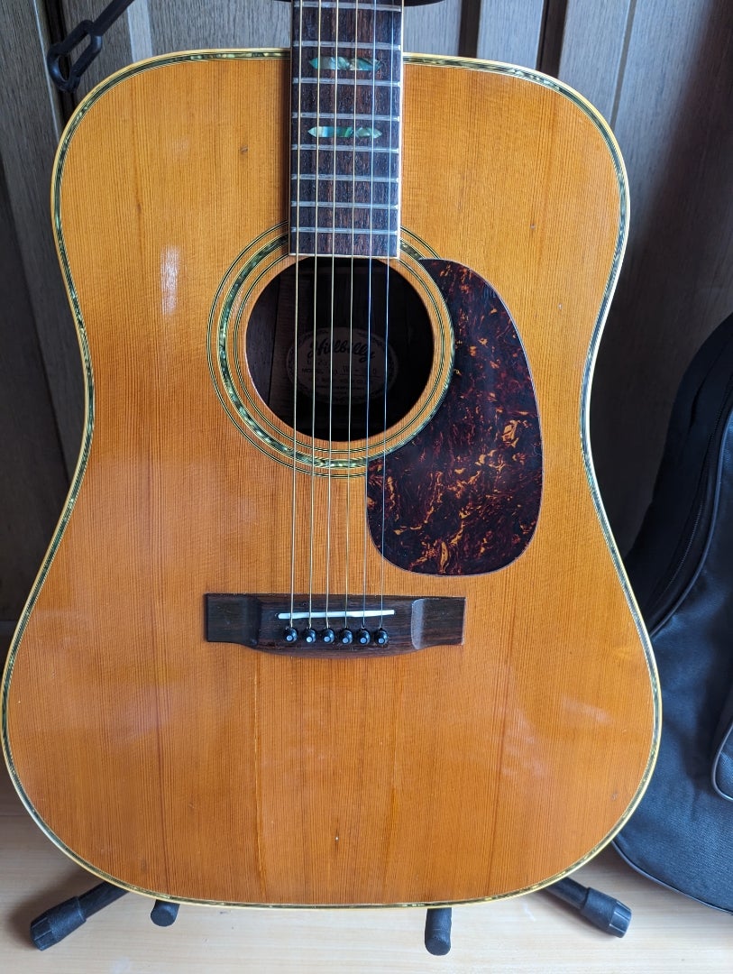 Hillbilly W-60トップ単板・ハカランダ•最上位機種 | ゆずマンのギター