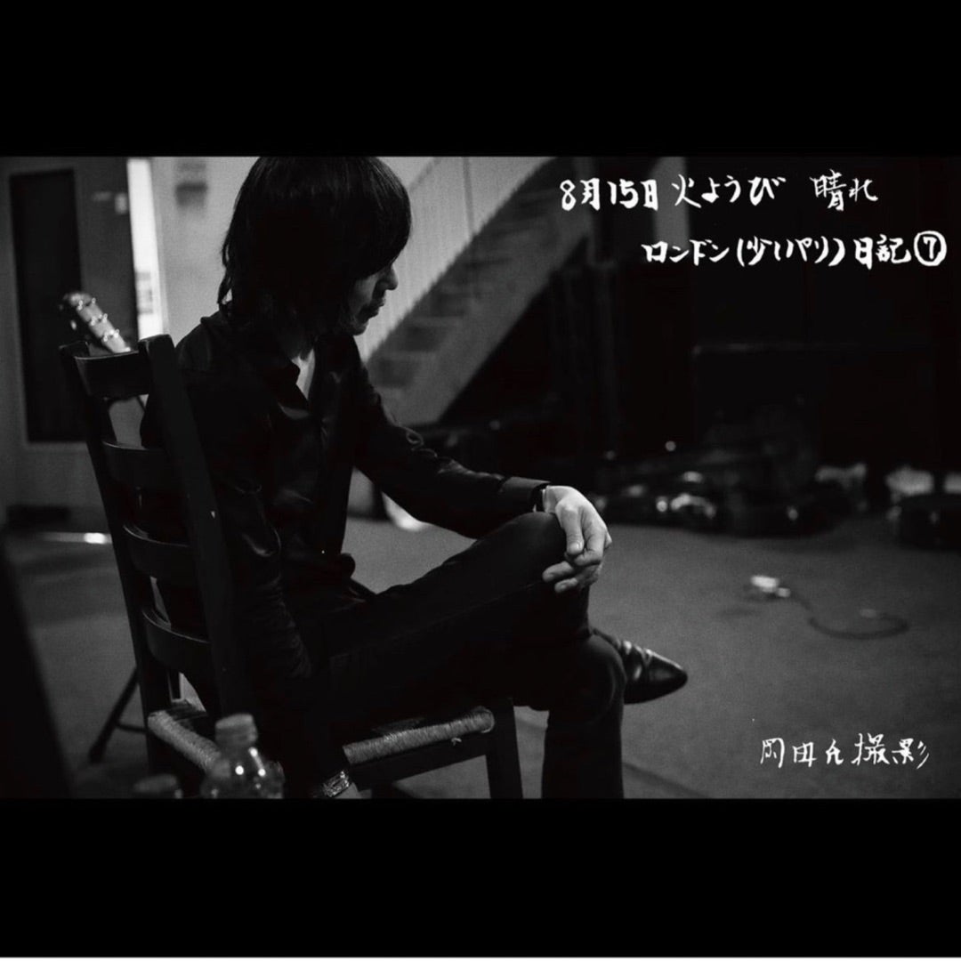 宮本浩次、ロンドン（少しパリ）日記/その7 | ノラ猫のらちゃん、海を