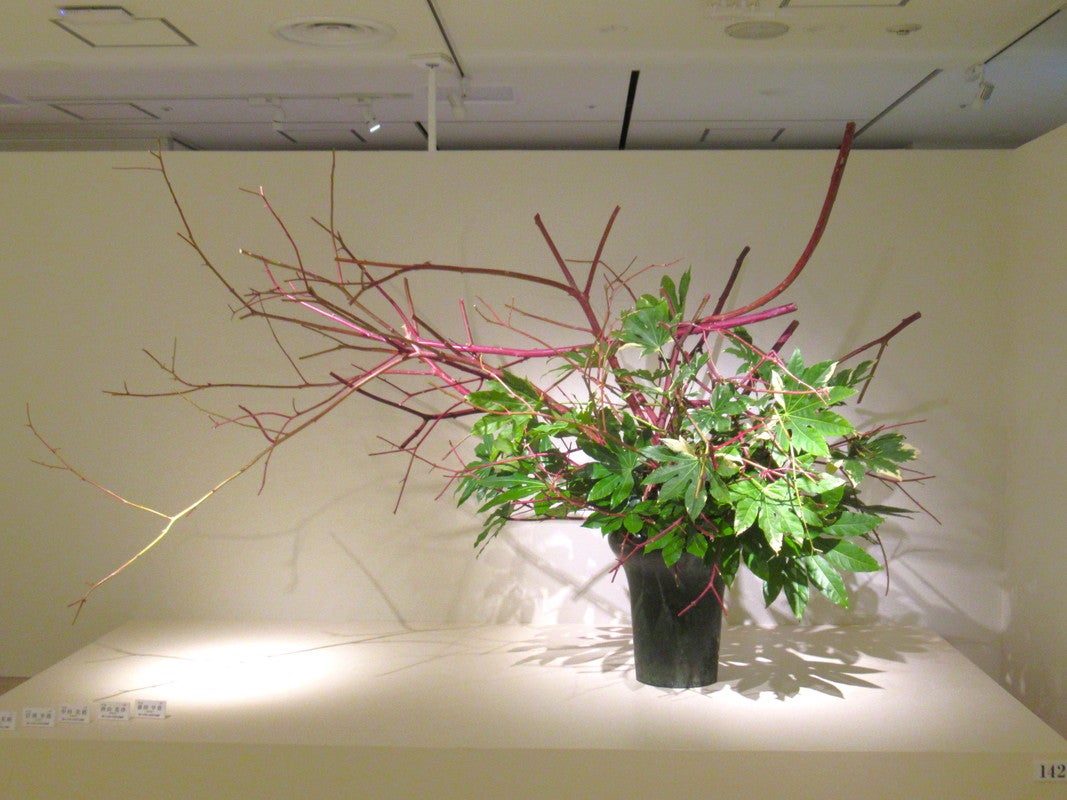 日本いけばな芸術展(第2次展) ～ 日本橋髙島屋 | 斎藤 隆信 溝の口