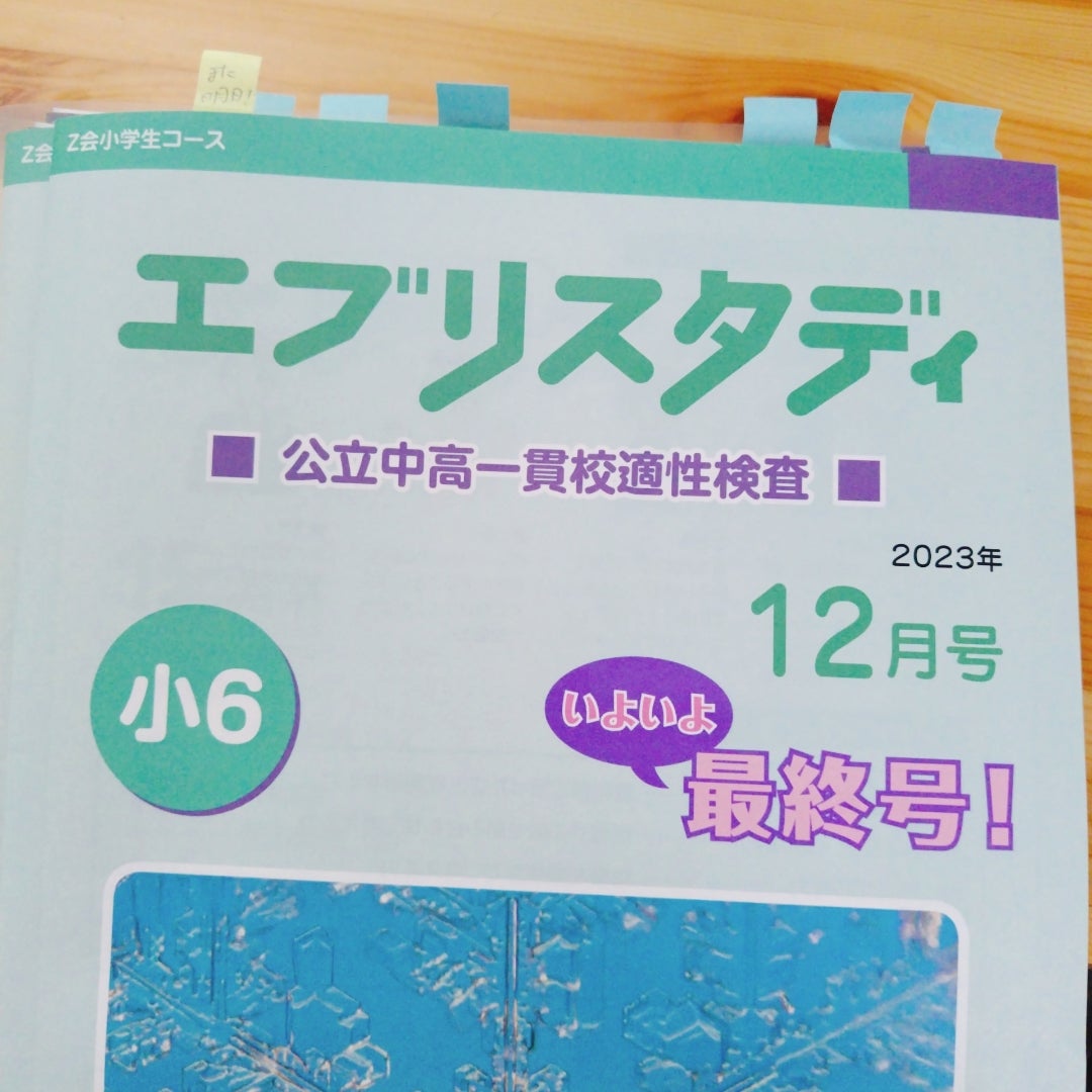 Z会 受講を終えての感想 | 中学生の学習をそっと見守るブログ
