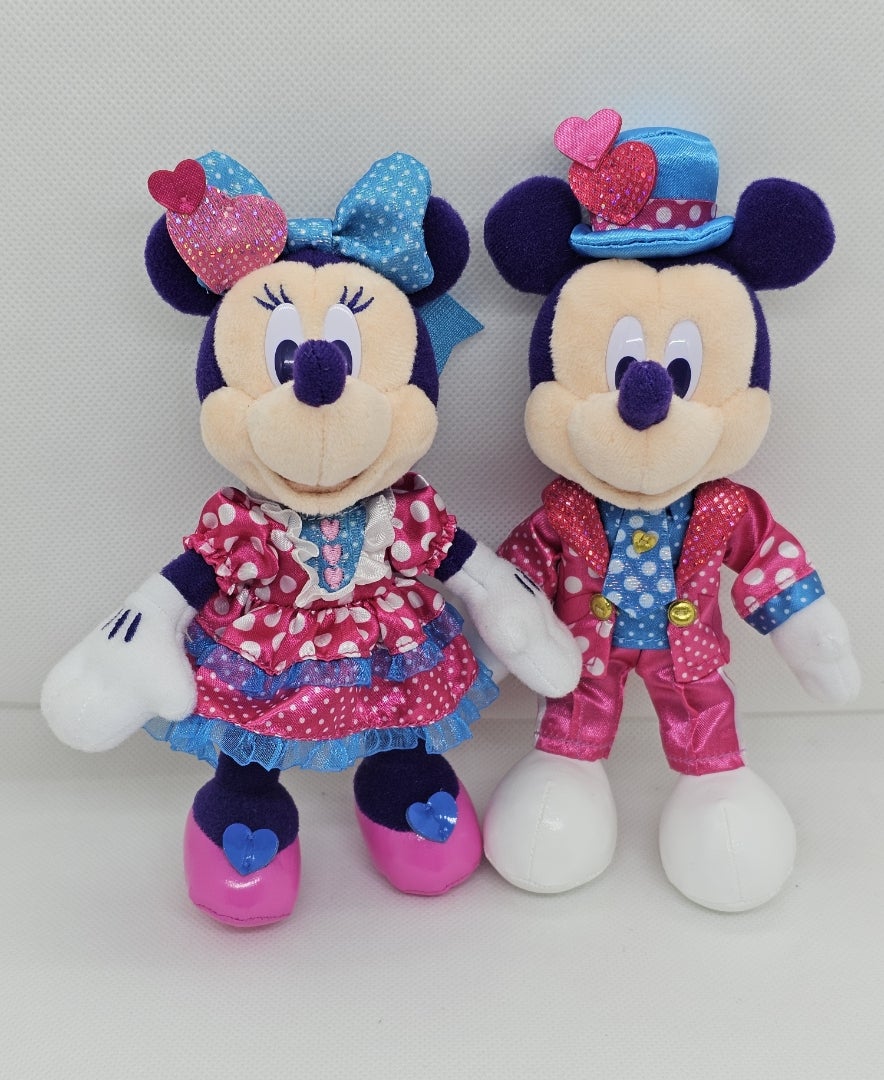 ミニーのファンダーランド」貴重なグッズをお願いしていました | 遠方
