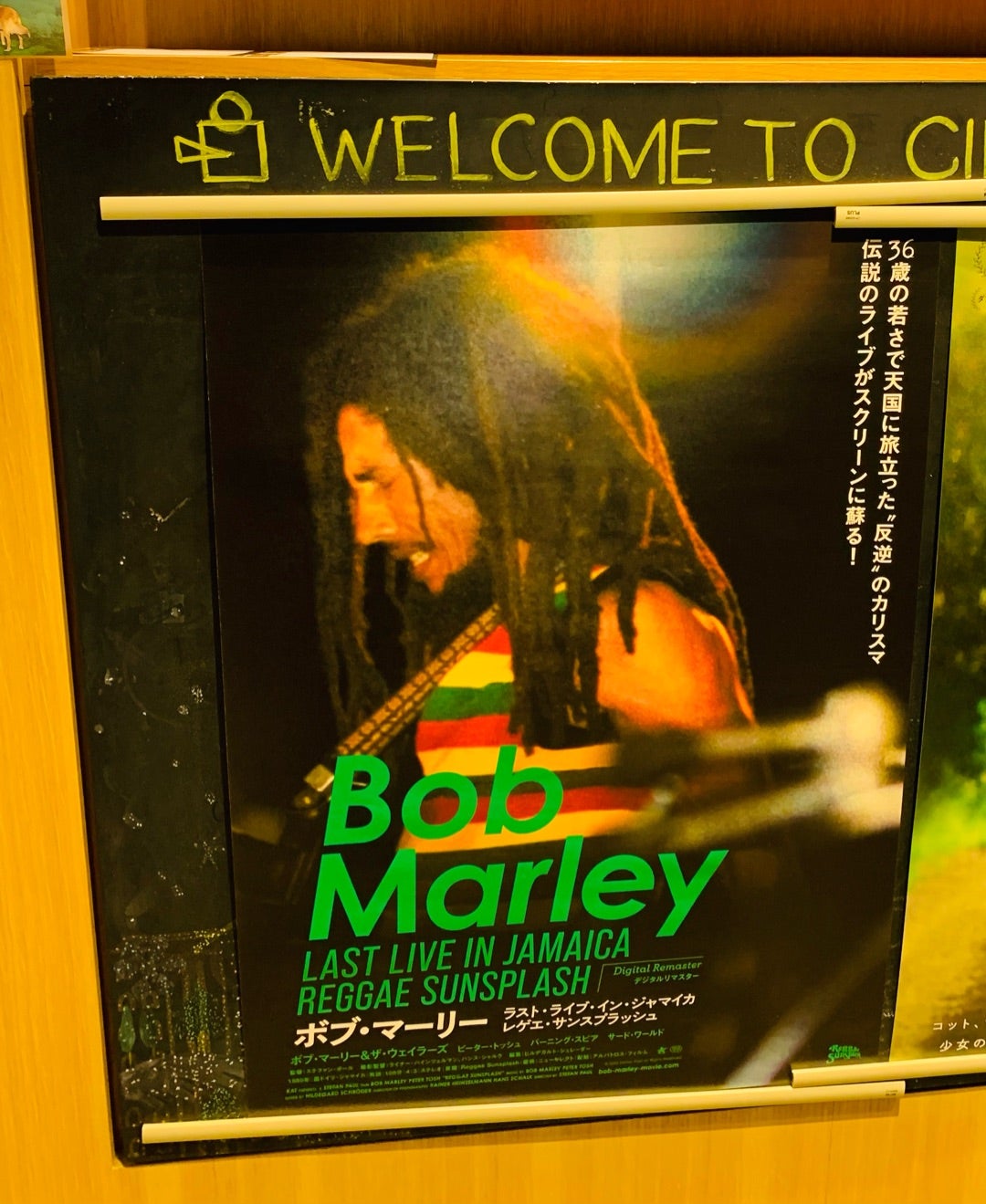 ボブ・マーリー ラスト・ライブ・イン・ジャマイカ レゲエ・サン