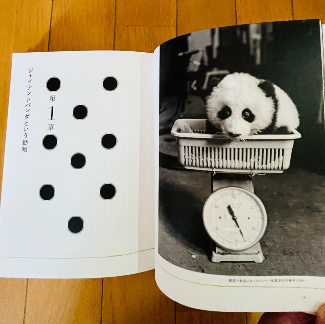 希少】上野歴代 パンダ 抄本 つなぐ 上野動物園 ジャイアントパンダの