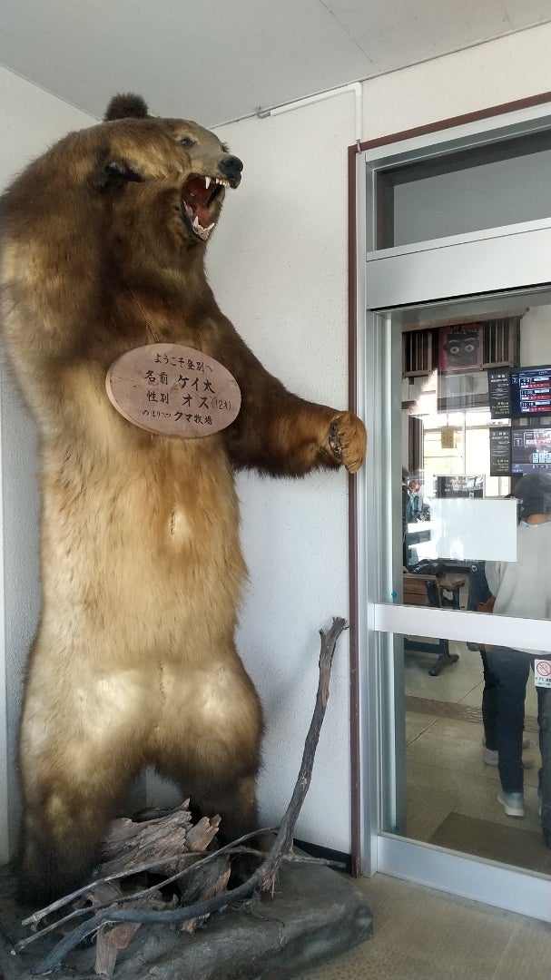 北海道、登別の熊の剥製❗️ | 67歳健康維持、ロードバイク奈良