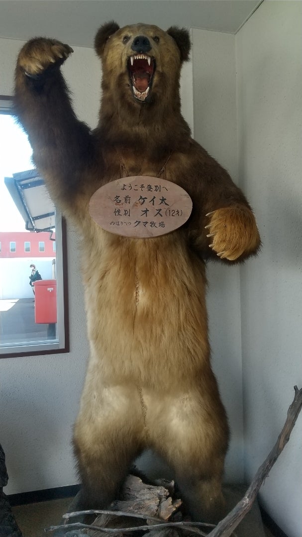 北海道、登別の熊の剥製❗️ | 67歳健康維持、ロードバイク奈良