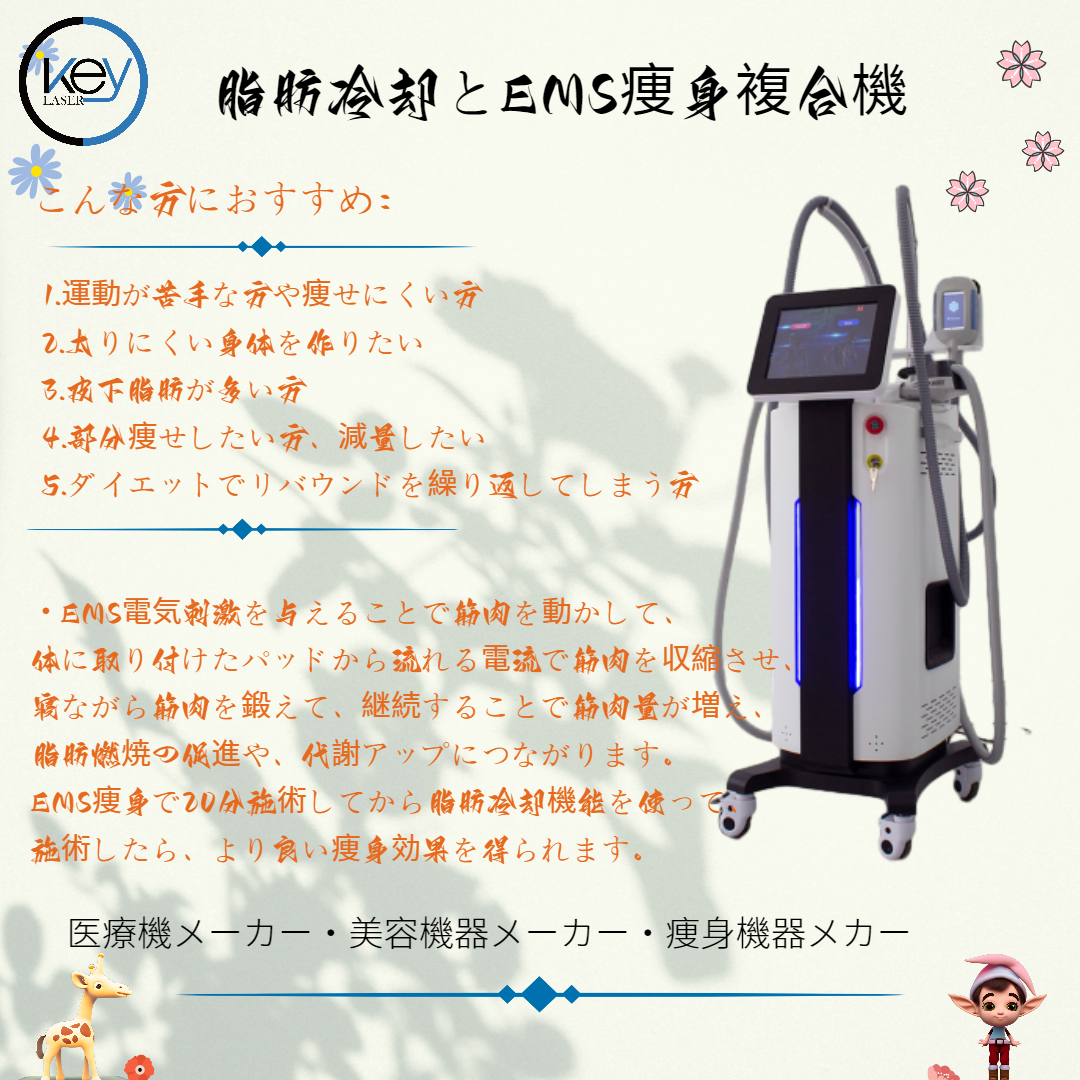 Dr.ibis ドクターイビス ルージュセカンド 痩身 EMS ダイエット
