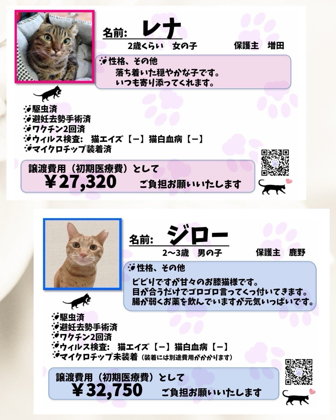ユアペティア譲渡会参加猫全頭プロフィール【プロフ参加】 | あしながねこ