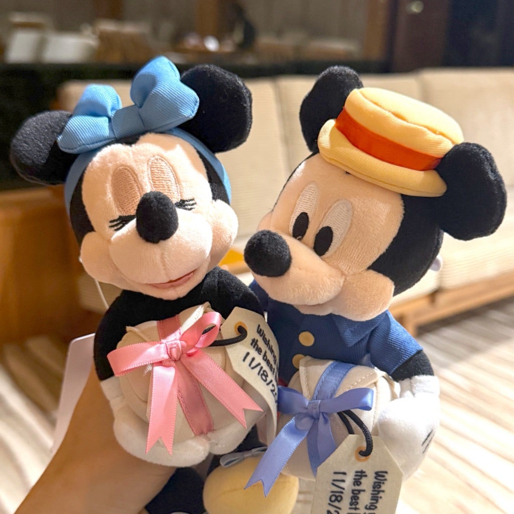 思わず一目惚れして購入しちゃったミッキーマウスとミニーマウスの