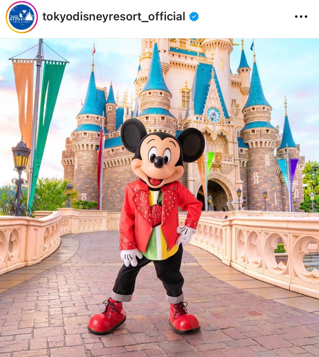 NEWS 東京ディズニーランド パルパルーザ第3弾のコスチューム公開され