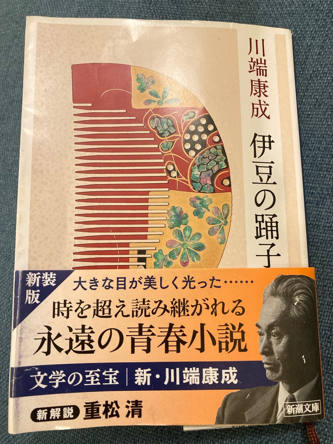 川端康成】伊豆の踊り子を読んで | Diary of a Goat in NYC
