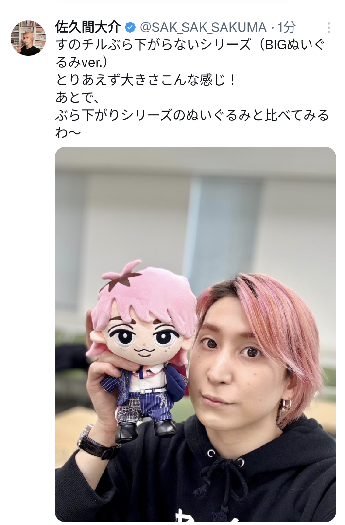 すのチルBIGぬいぐるみサイズ感 | さちこの推しごとブログ