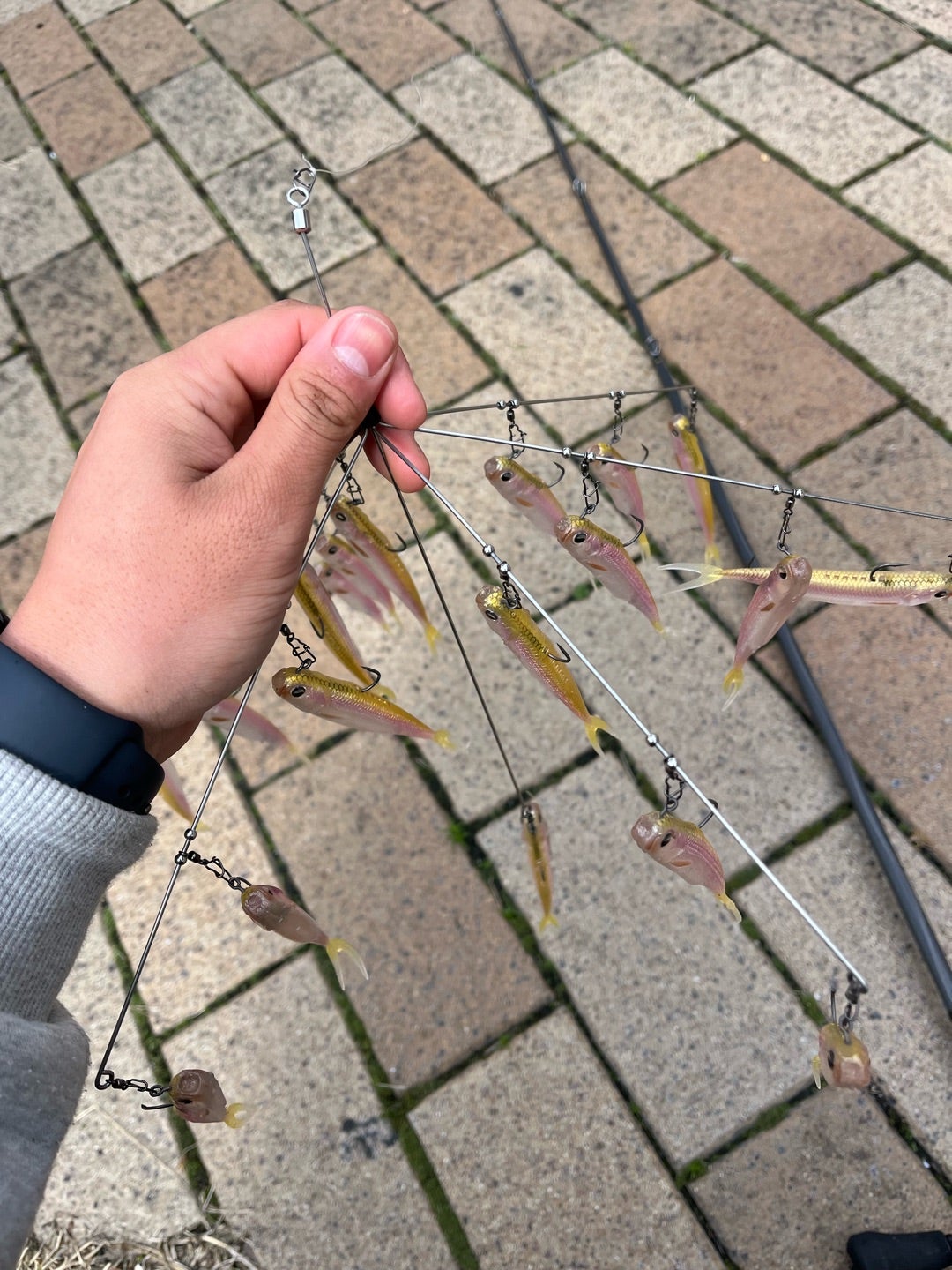 バマスト実釣へ【マッスルワイヤー】【レイドジャパン】 | BACKLASH