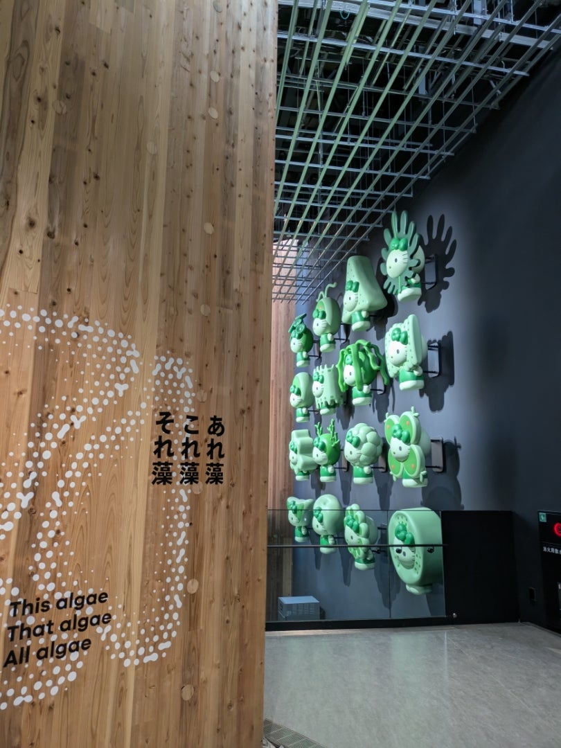 大阪万博☆EXPO2025 日本館公式ショップ 藻キティ 入荷状況 | ワーママ