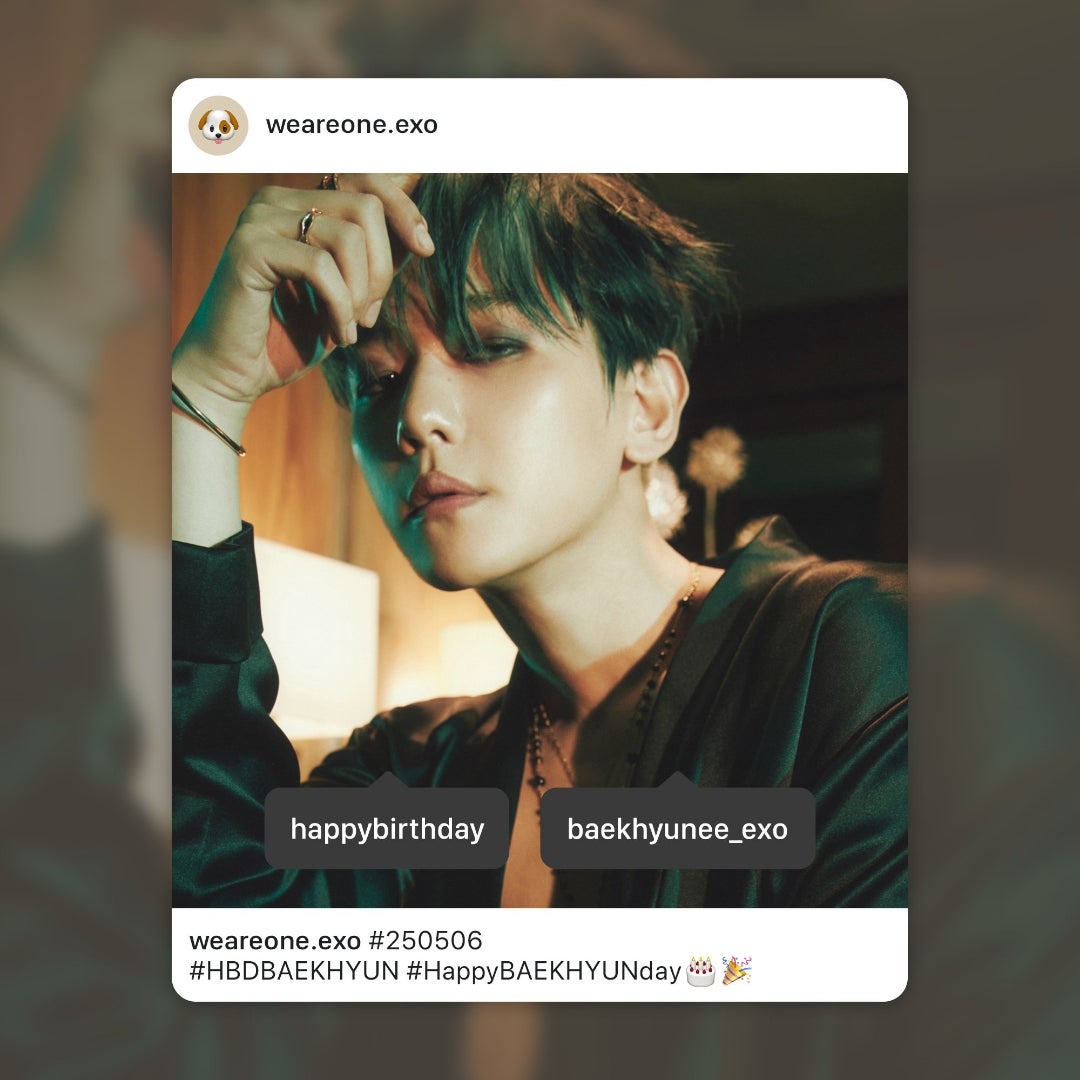 EXO ベッキョン Reverie dot アンコン フリース ※トレカなし EXO