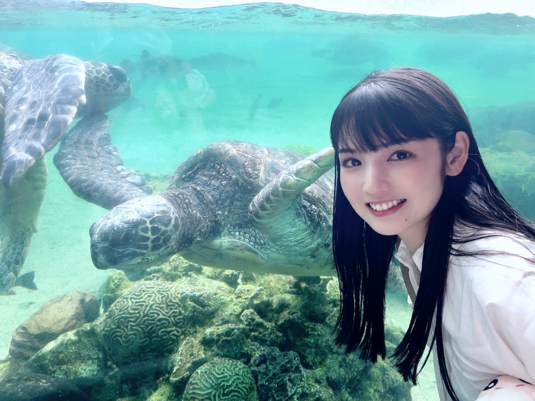 ウミガメ♡ | 道重さゆみオフィシャルブログ「サユミンランドール