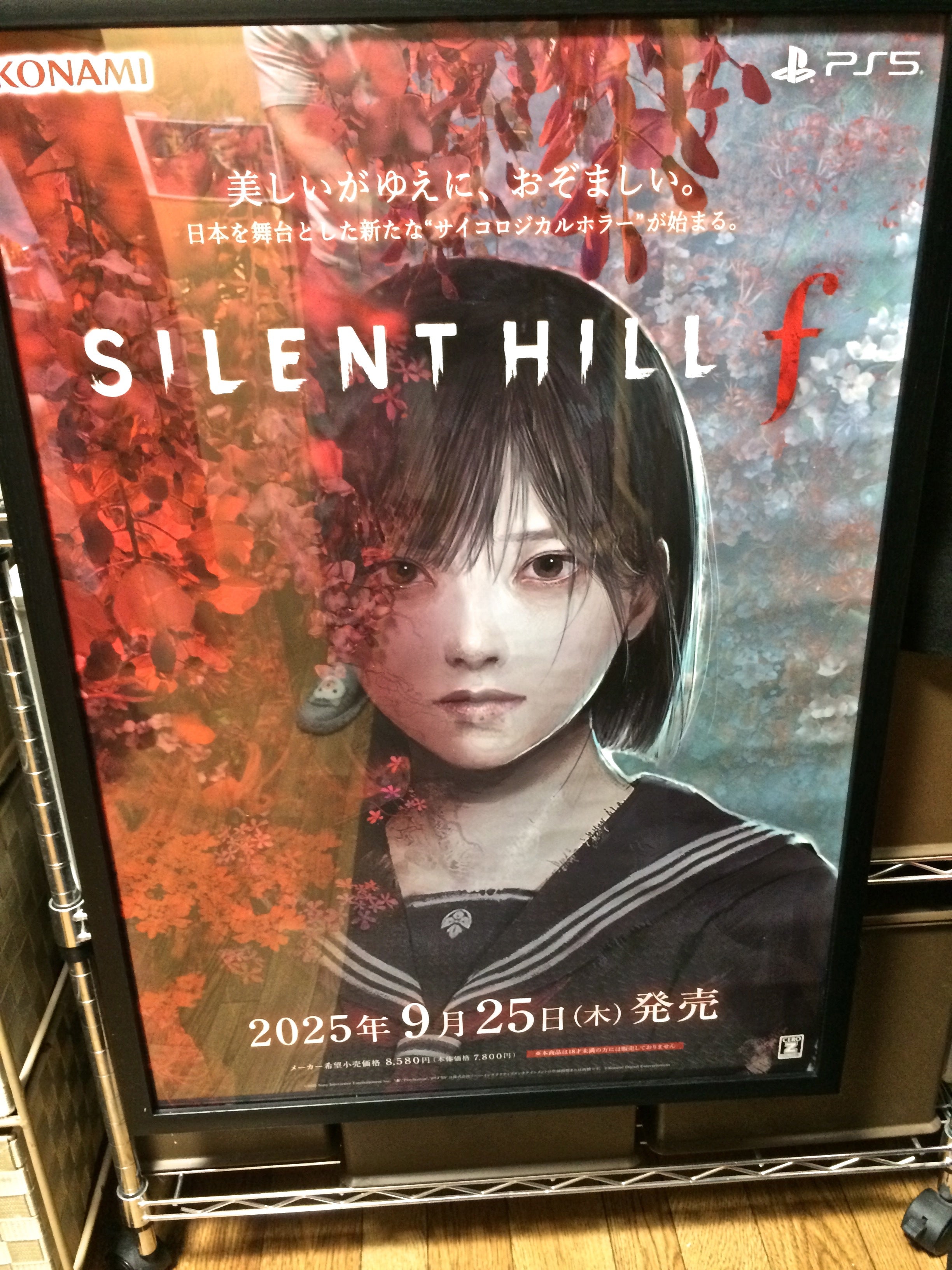 SILENT HILLf & HIDA KANAYAMA 飛騨銀山町 HIDAMAZING | ボトラキチの