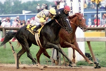 オリジナルウマ娘】サンデーサイレンスをウマ娘化してみた | コツメ