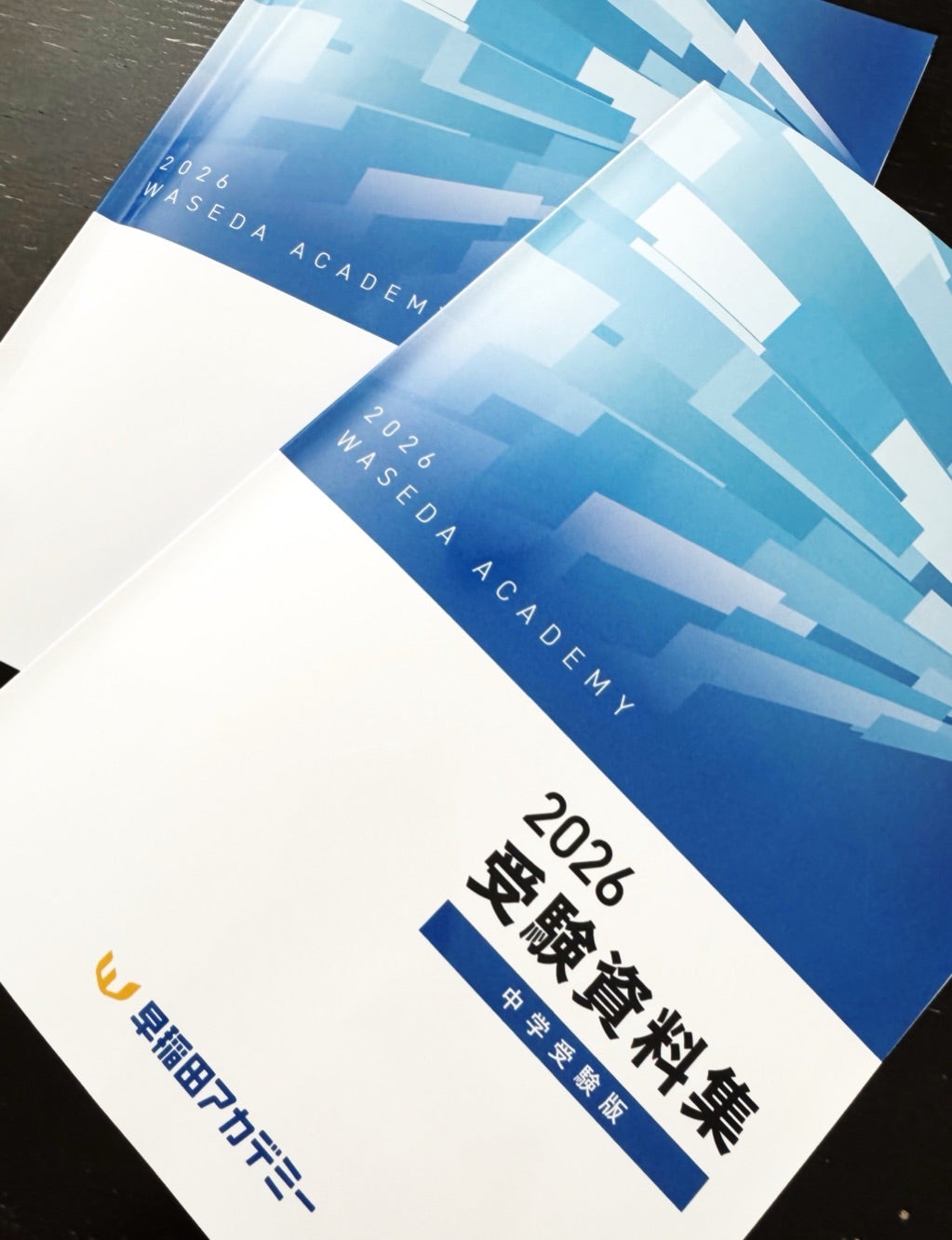 1年後を考える | 脳筋かあちゃんと早稲アカ♡sistersの中学受験
