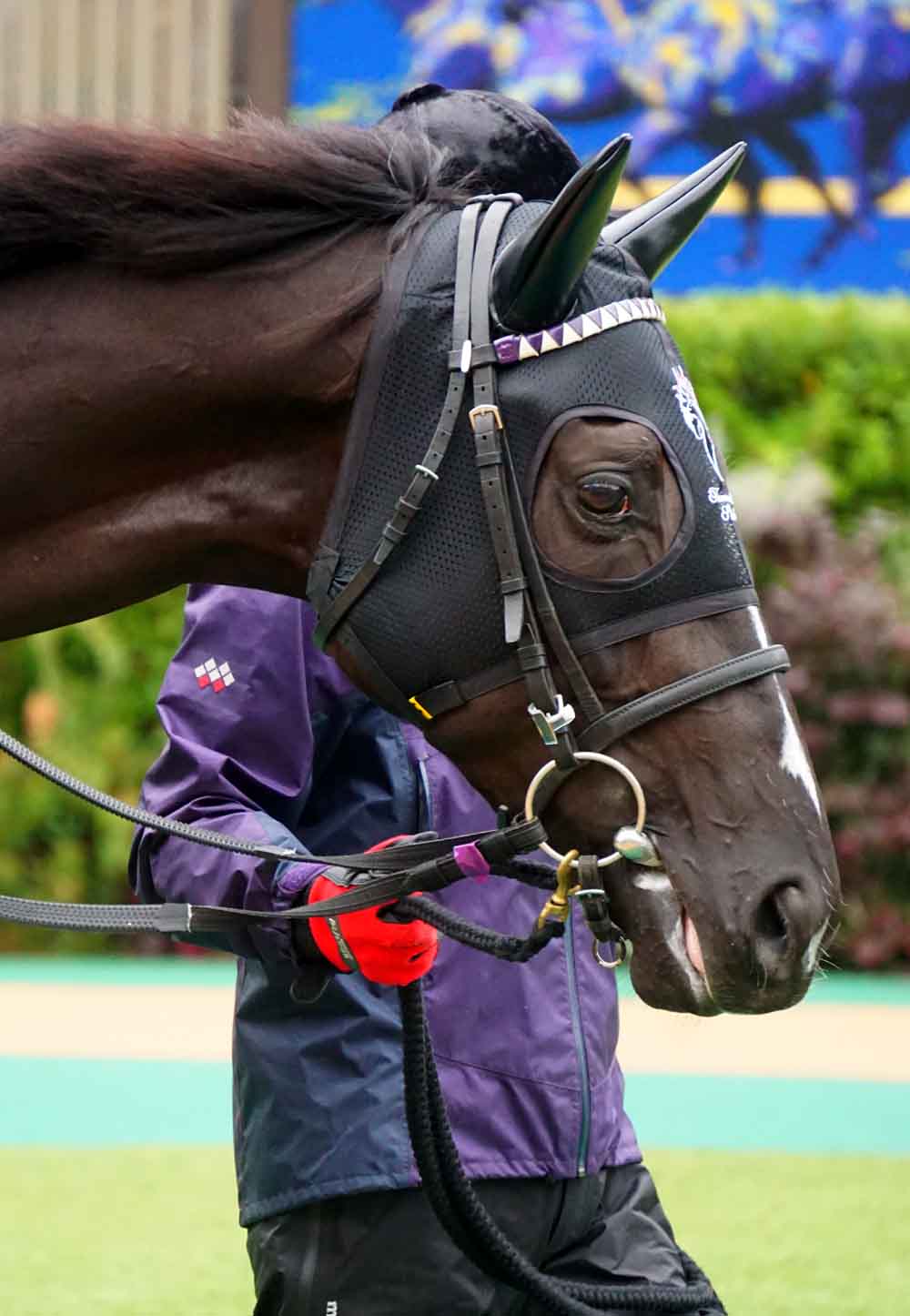 10月25日東京競馬☆2歳新馬☆5R☆ウップヘリ―ア☆ブラックオリンピア