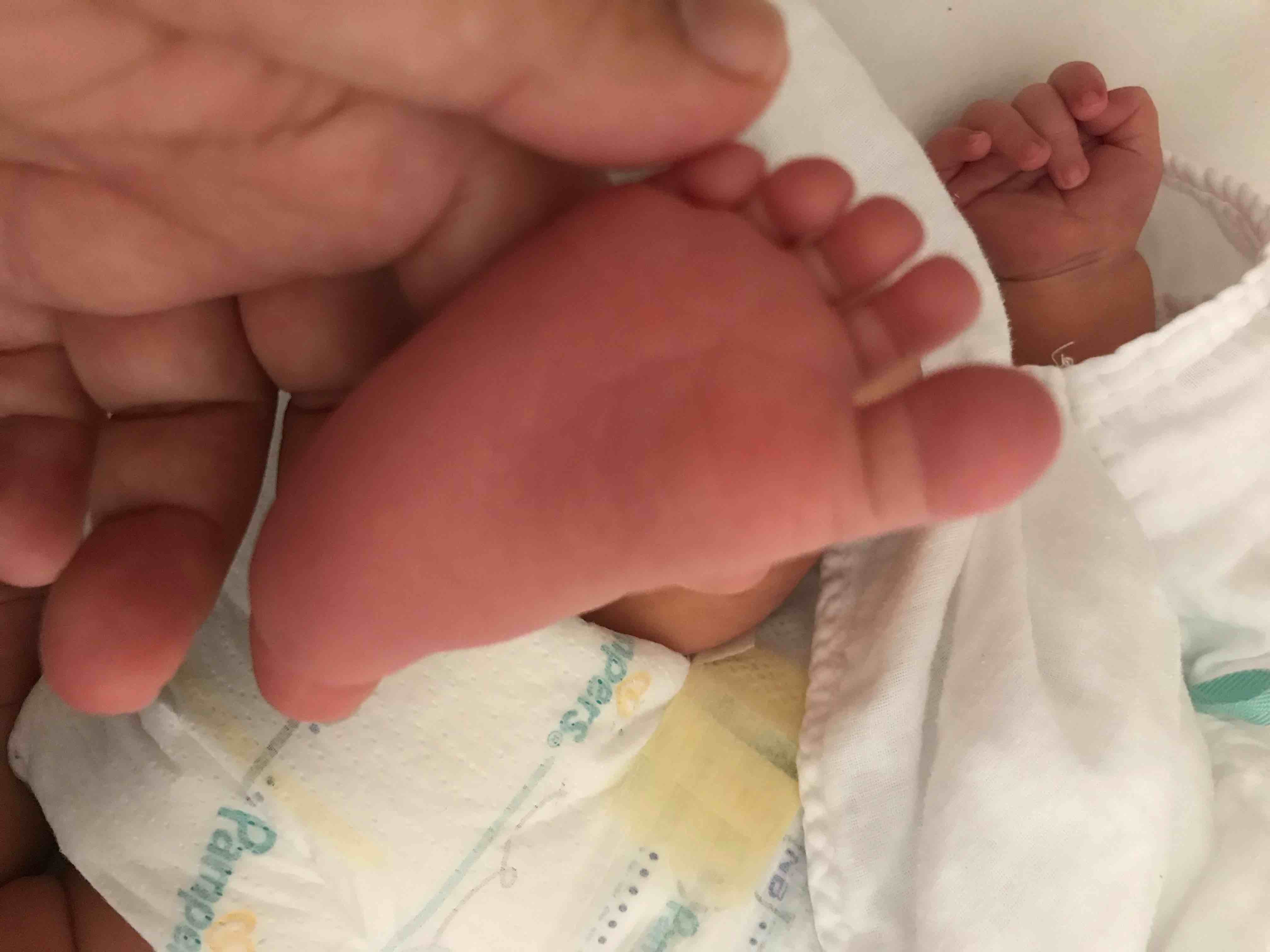 滝中トライアルの結果と南山女子の過去問 | 母娘で挑戦！塾なし受験2026