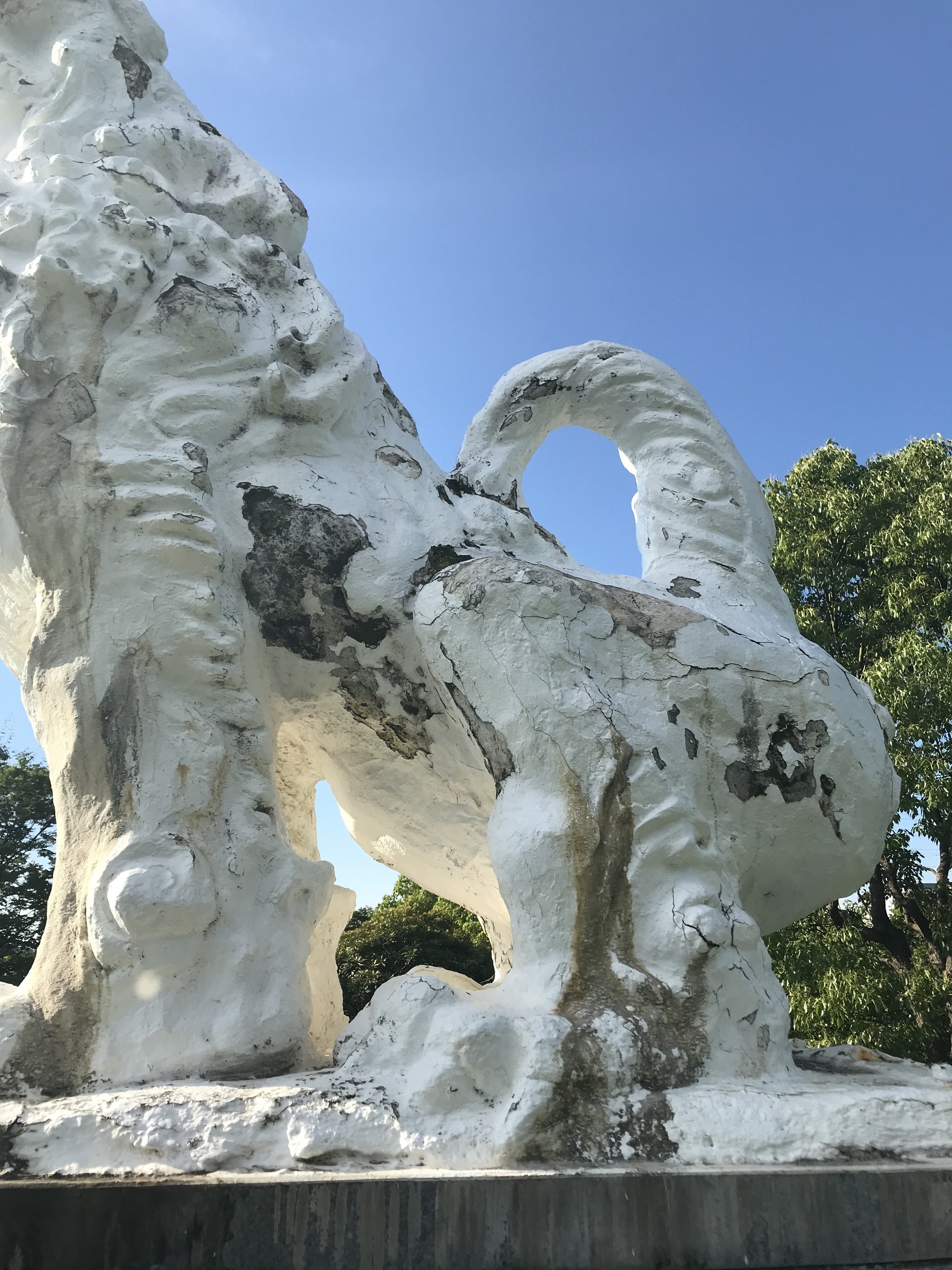 大阪】地域のシンボル・守り神の「シーサー」を未来につなぎたい
