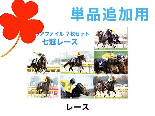 写真集【 #ウオッカinアイルランド 】ファンver. 名馬ウオッカよ永遠に