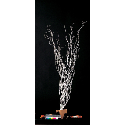 直送】東花/うんりゅう柳 3本入り ホワイト/69001※返品・代引