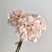 即日☆【造花】アスカ/カーネーションバンチ(1束3本) ツートン
