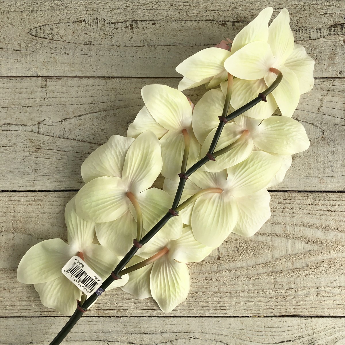 造花】アスカ/コチョウラン×8 ソフトイエローピンク/A-34606-20K - 花