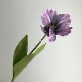 造花】アスカ/オープンチューリップ パープルホワイト/A-34928-7W - 花