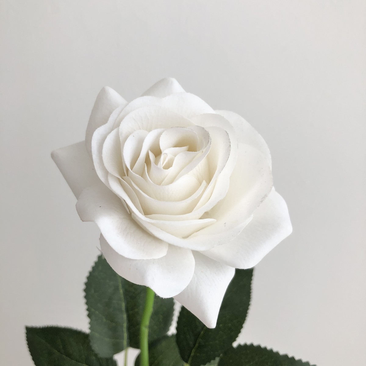 即日☆【造花】アスカ/ローズ ホワイト(ナチュラル加工)/A-35164-1