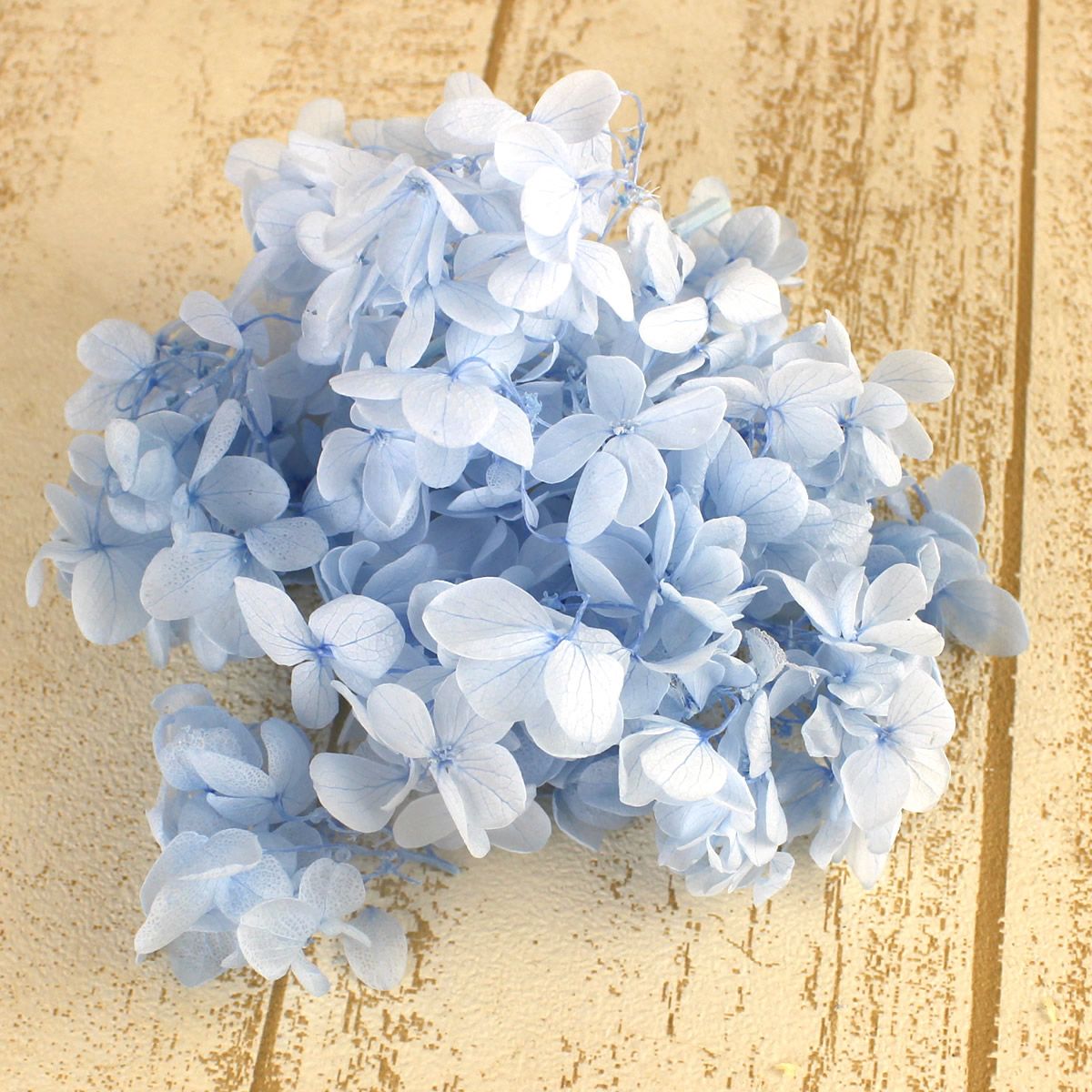 プリザーブド】OrangeDeco/あじさいパステル スカイブルー 6g/ZA-518