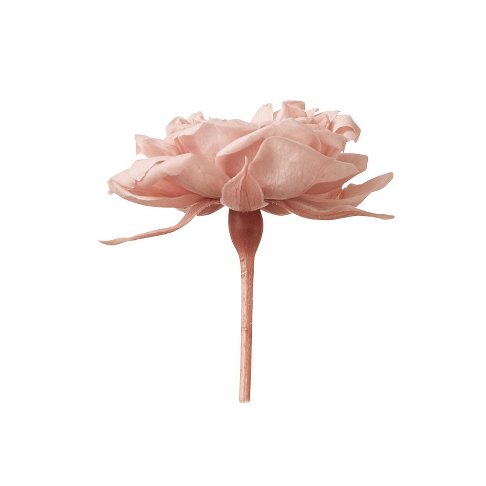 即日☆【プリザーブド】大地農園/ローズ・グリーンアイス 12輪 ピュア