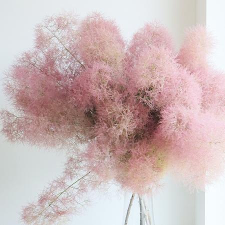 生花】スモークツリーファー2ピンク L80cm程度 星野さん【IT-29】 - 花
