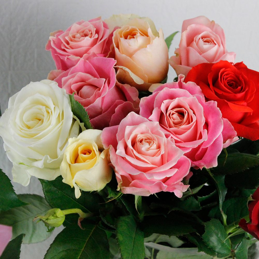 生花】バラ ハッピーセット(遠州夢咲バラおまかせミックス)50cm - 花材