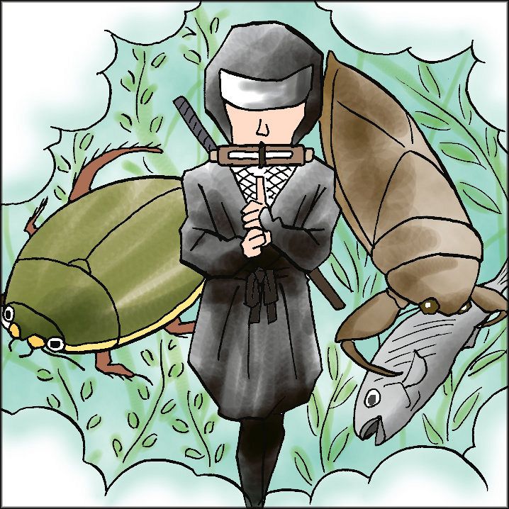 192）姿消した水中の忍者たち （琵琶湖博物館 金尾滋史）：中日新聞Web